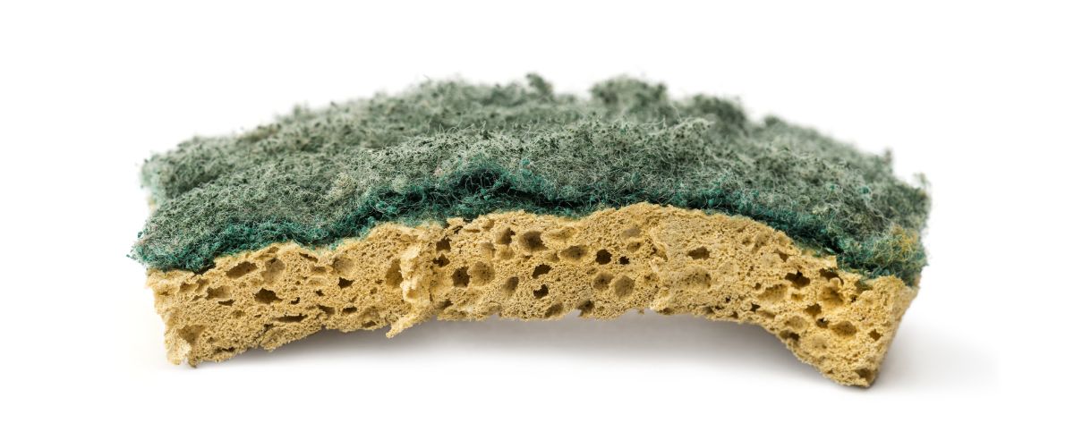 House Cleaning Mistake #4 is Using a Dirty Sponge