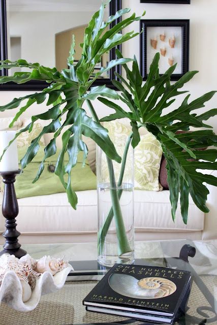 Tip #3 Clever Ideas To Display Plants: Decorate With Fronds & Branches