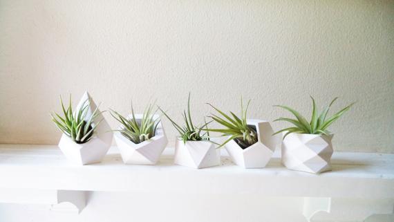Tip #5 Clever Ideas To Display Plants: Use Geometric Planters