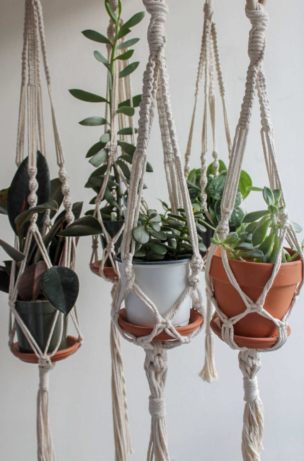 Tip #1 Clever Ideas To Display Plants: Group Plants In Macrame Hangers