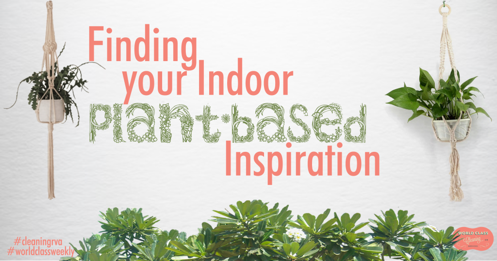 Clever Plant Hanging Ideas To Bring The Outdoors Indoors