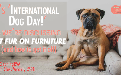 World Class Weekly #28, Celebrating “International Dog Day” by talking about Fur on Furniture