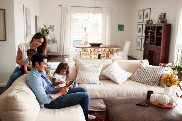 Use A Dry Sponge To Remove Pet Hair From Furniture